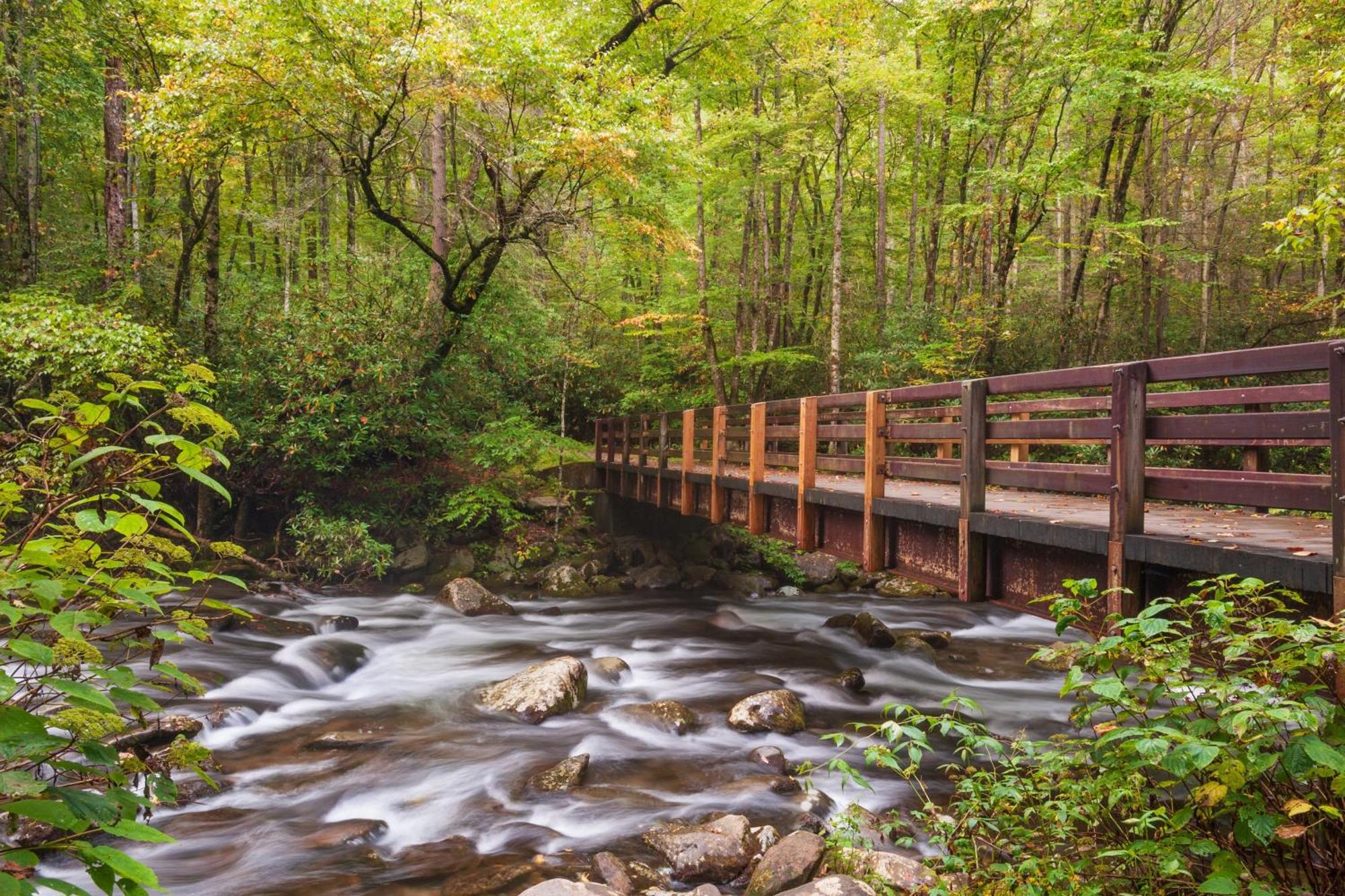 Magical Moments, Hot Tub, Wifi, 1089 Free Tickets Each Paid Day, Dollywood And More Gatlinburg Esterno foto